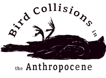 BCA%20Logo%20Snip.jpg